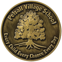 Pelsall Village School Coin